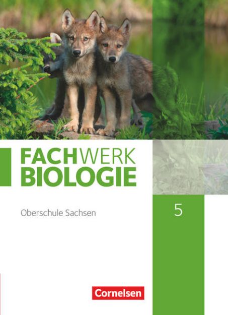 Bild von Fachwerk Biologie, Sachsen, 5. Schuljahr - neuer Lehrplan, Schulbuch - Neubearbeitung von Adria Wehser