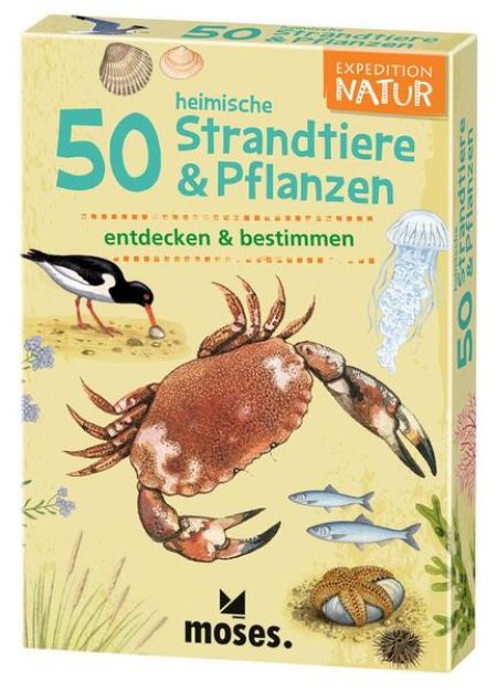 Bild von 50 heimische Strandtiere & Pflanzen von Thomas Müller