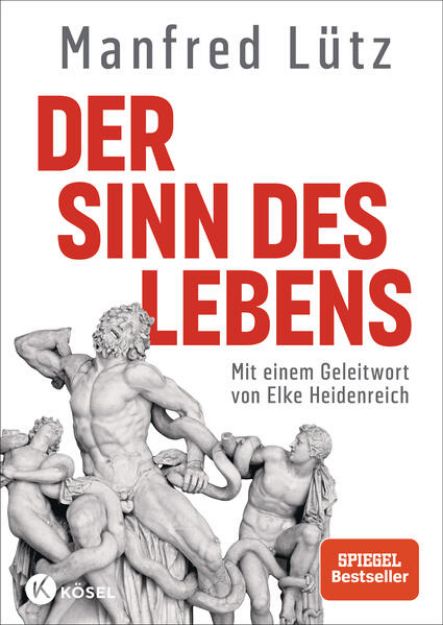 Bild von Der Sinn des Lebens von Manfred Lütz