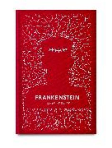 Bild von Frankenstein von Shelley Mary