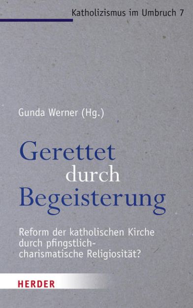 Bild zu Gerettet durch Begeisterung von Gunda (Hrsg.) Werner