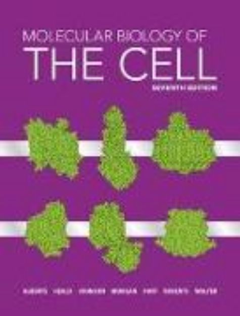 Bild von Molecular Biology of the Cell von Bruce Alberts