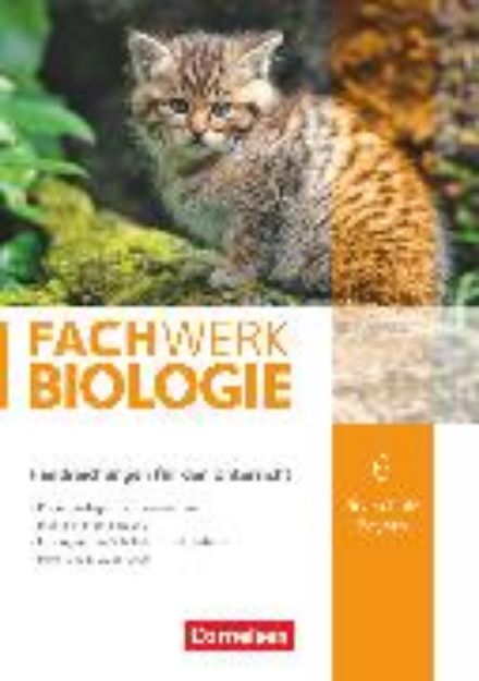 Bild von Fachwerk Biologie, Realschule Bayern, 6. Jahrgangsstufe, Handreichungen für den Unterricht von Udo Hampl