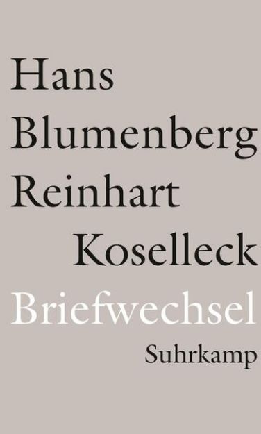 Bild von Briefwechsel 1965-1994 von Hans Blumenberg