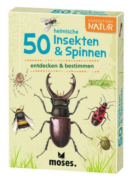 Bild von 50 heimische Insekten & Spinnen von Carola von (Text von) Kessel