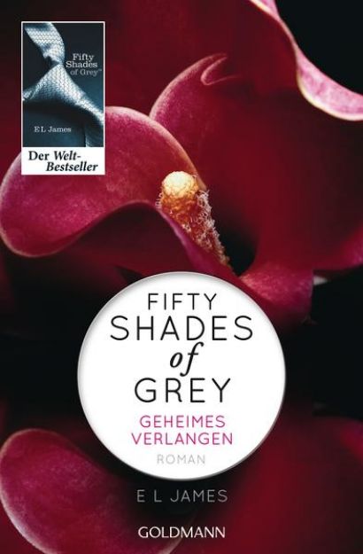 Bild von Fifty Shades of Grey - Geheimes Verlangen von E L James