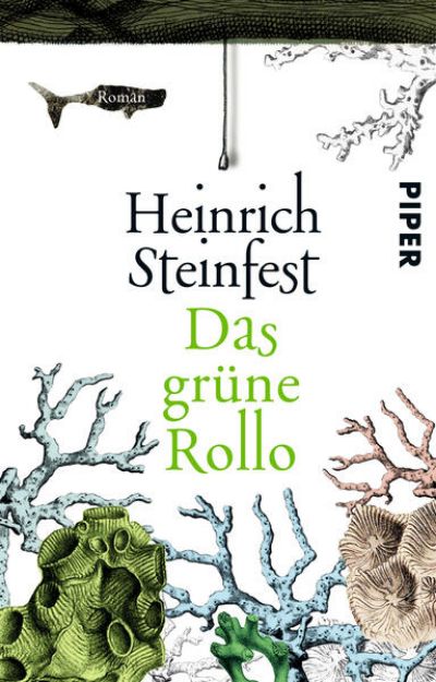 Bild von Das grüne Rollo von Heinrich Steinfest