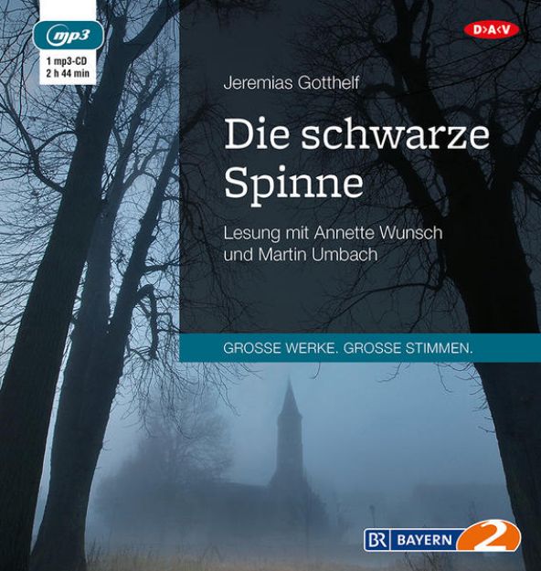 Bild von Die schwarze Spinne von Jeremias Gotthelf