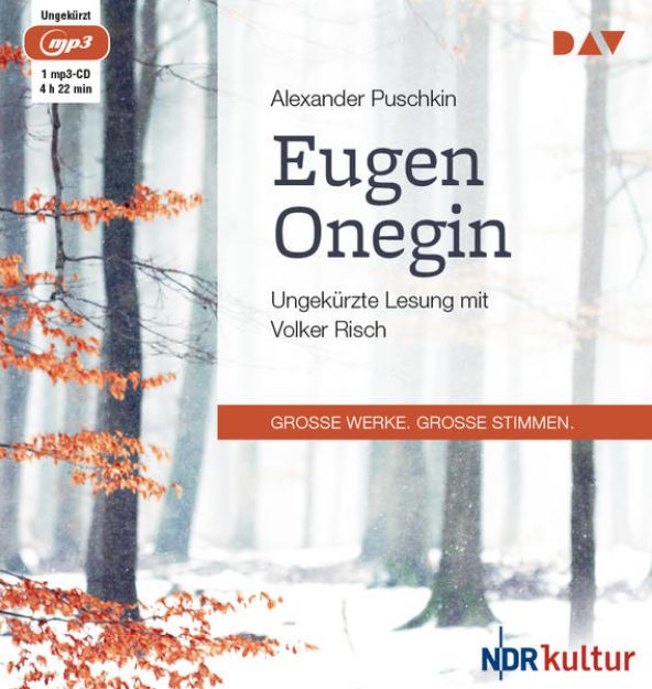 Bild von Eugen Onegin von Alexander Puschkin