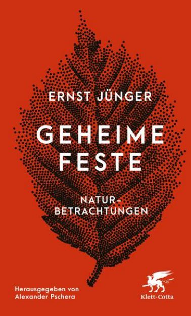 Bild von Geheime Feste von Ernst Jünger