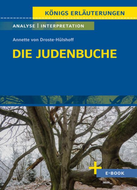 Bild von Die Judenbuche von Annette von Droste-Hülshoff - Textanalyse und Interpretation von Annette von Droste-Hülshoff