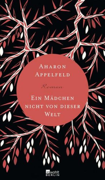 Bild von Ein Mädchen nicht von dieser Welt von Aharon Appelfeld