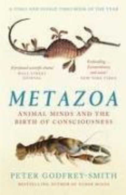 Bild von Metazoa von Godfrey-Smith Peter