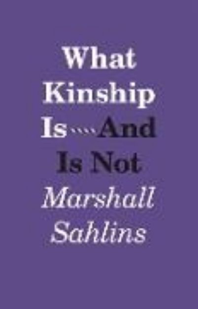 Bild von What Kinship Is-And Is Not von Marshall Sahlins