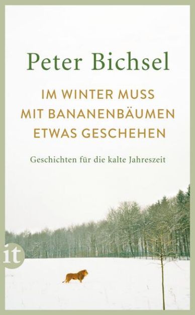 Bild von Im Winter muss mit Bananenbäumen etwas geschehen von Peter Bichsel