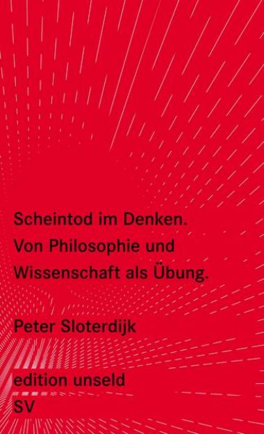 Bild von Scheintod im Denken von Peter Sloterdijk