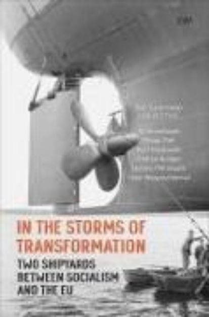 Bild von In the Storms of Transformation von Ulf Brunnbauer