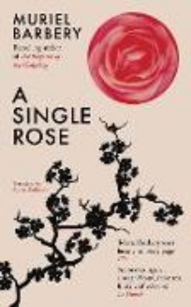 Bild von A Single Rose von Barbery Muriel