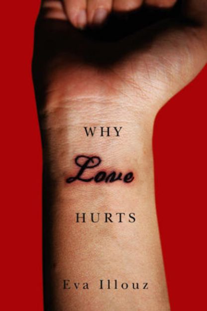 Bild von Why Love Hurts von Eva Illouz