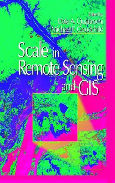 Bild von Scale in Remote Sensing and GIS von Michael F. (Hrsg.) Goodchild