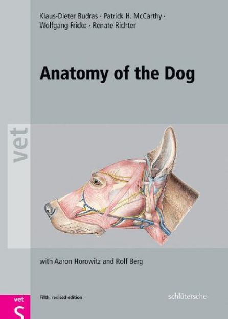 Bild zu Anatomy of the Dog von Klaus D Budras