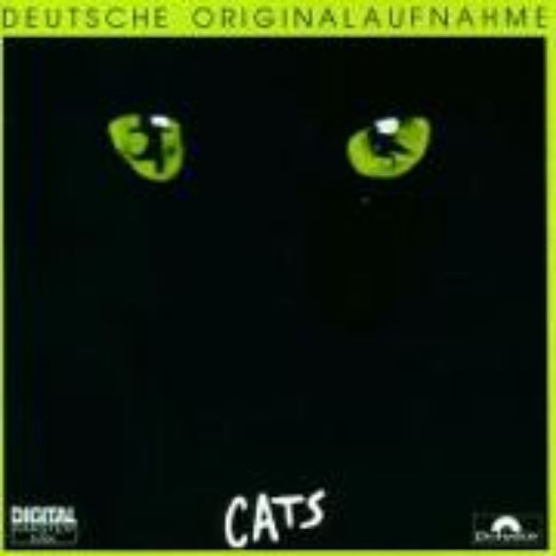 Bild von CATS von Frank (Solist) Ablorh-Odjidja