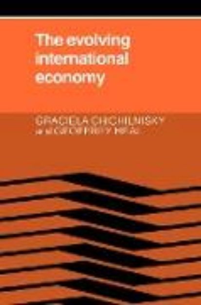 Bild von The Evolving International Economy von Graciela Chichilnisky