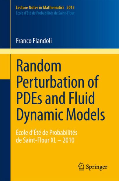 Bild von Random Perturbation of PDEs and Fluid Dynamic Models von Franco Flandoli