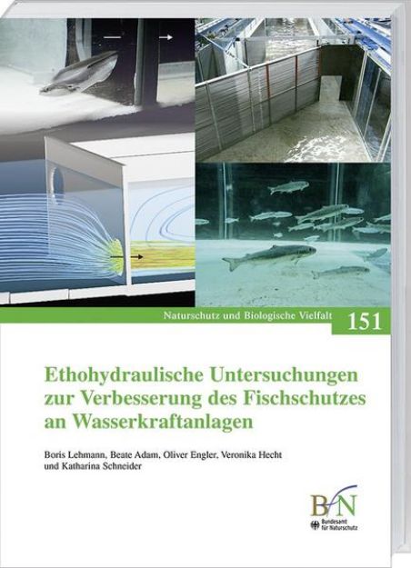 Bild zu Ethohydraulische Untersuchungen zur Verbesserung des Fischschutzes an Wasserkraftanlagen von Boris Lehmann