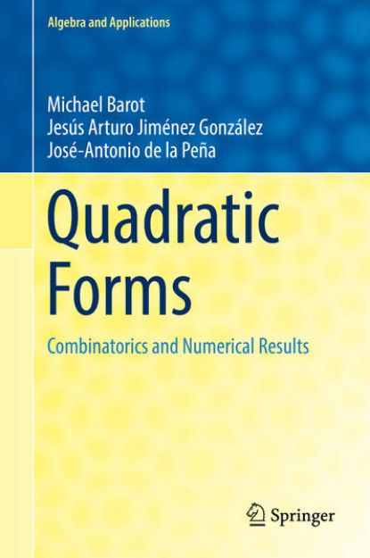 Bild von Quadratic Forms von Michael Barot