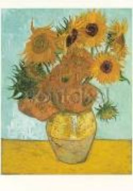 Bild von Postkarte / Vase mit Sonnenblumen, 1888 von Van (Künstler) Vincent Gogh