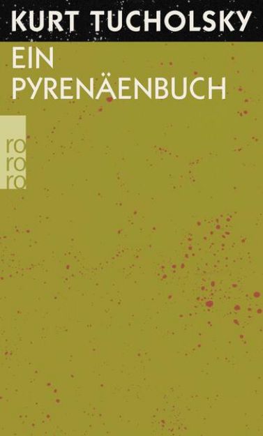 Bild zu Ein Pyrenäenbuch von Kurt Tucholsky