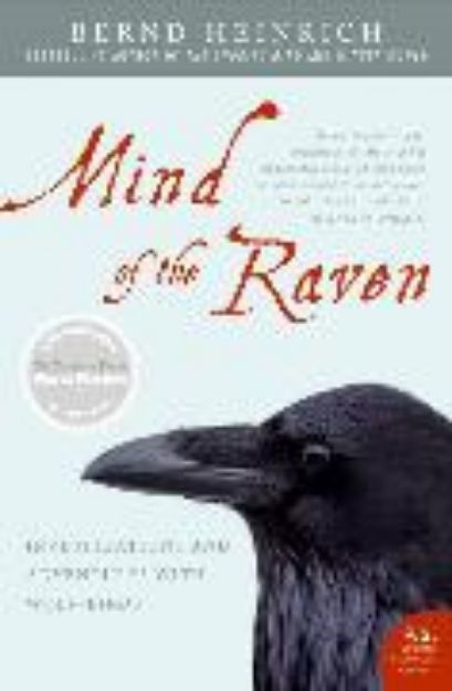 Bild von Mind of the Raven von Bernd Heinrich