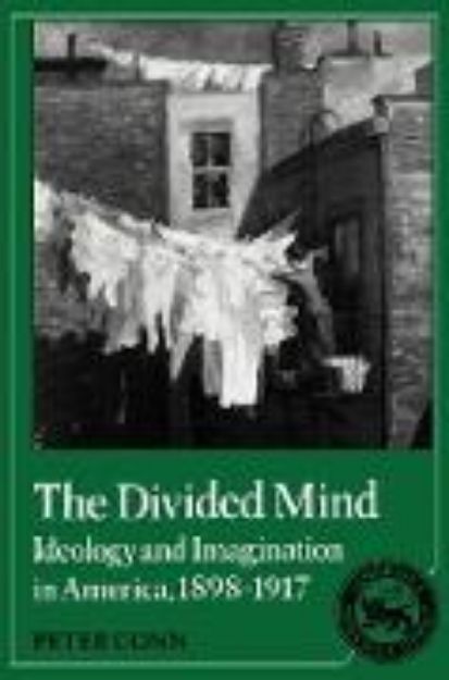 Bild von The Divided Mind von Peter Conn