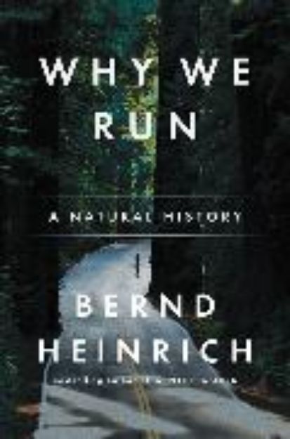 Bild von Why We Run von Bernd Heinrich