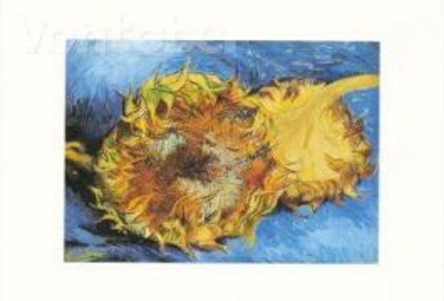 Bild von Doppelkarte. Sonnenblumen, 1887 von Van (Künstler) Vincent Gogh