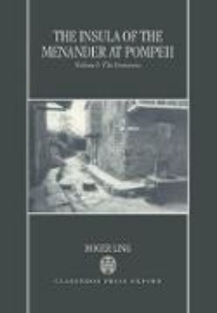 Bild zu The Insula of the Menander at Pompeii: Volume 1: The Structures von Roger Ling