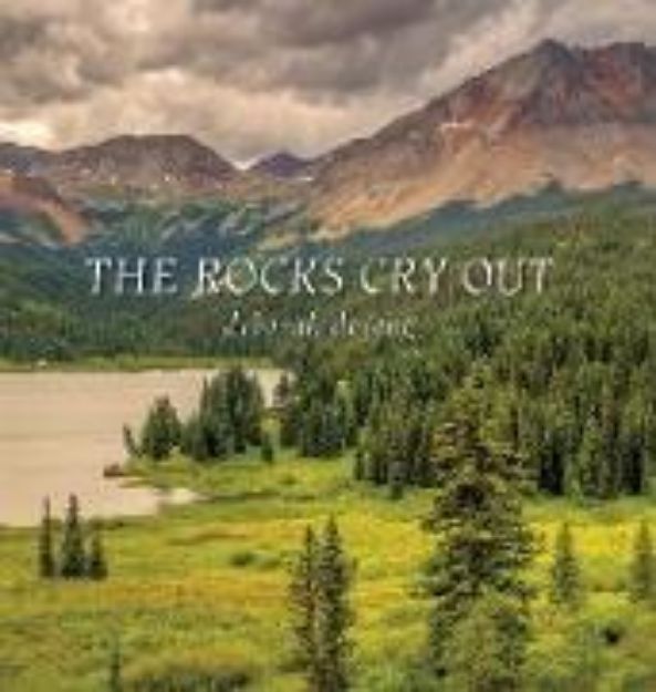 Bild von The Rocks Cry Out von Deborah DeJong