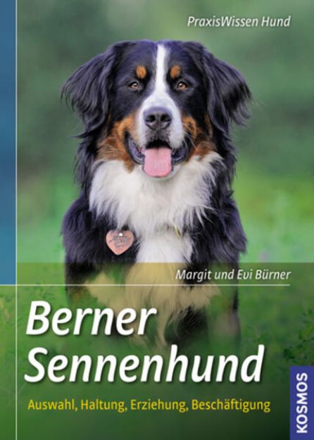 Bild von Berner Sennenhund von Margit Bürner