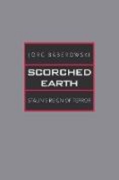 Bild von Scorched Earth von Jorg Baberowski