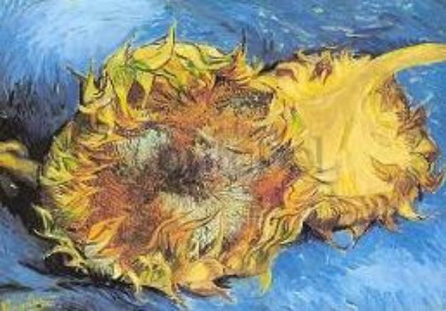 Bild von Postkarte / Sonnenblumen von Van (Künstler) Vincent Gogh