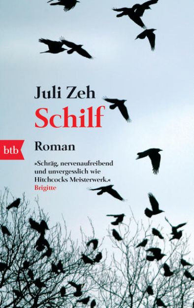 Bild von Schilf von Juli Zeh