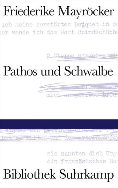 Bild von Pathos und Schwalbe von Friederike Mayröcker