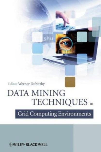 Bild von Data Mining Techniques in Grid Computing Environments von Dubitzky Werner (Hrsg.)