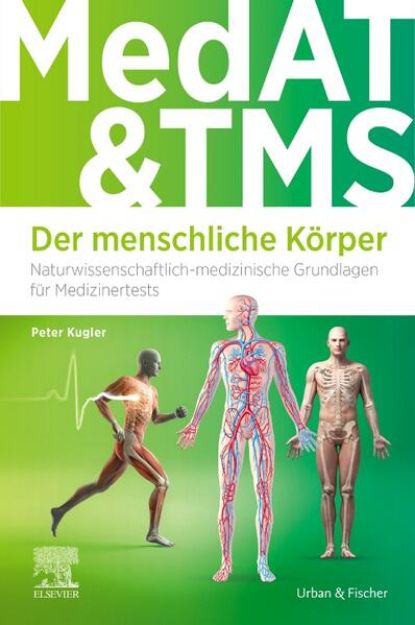 Bild von MedAT und TMS - Der menschliche Körper von Peter Kugler