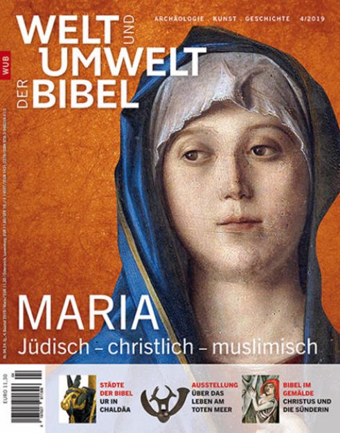 Bild von Welt und Umwelt der Bibel / Maria von Katholisches Bibelwerk e. V. (Hrsg.)