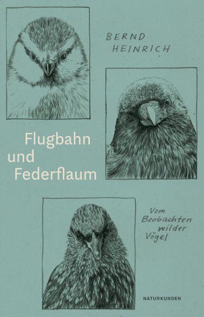 Bild zu Flugbahn und Federflaum von Bernd Heinrich