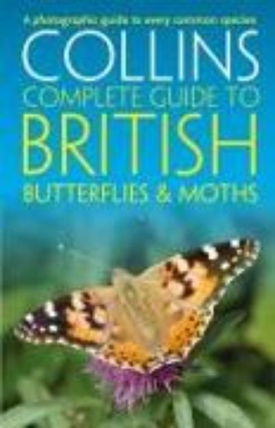 Bild von British Butterflies and Moths von Sterry Paul