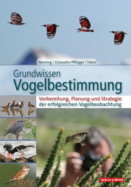 Bild zu Grundwissen Vogelbestimmung von Christoph Moning