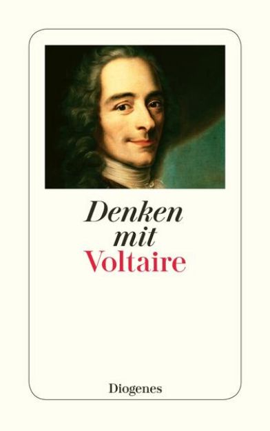 Bild von Denken mit Voltaire von Voltaire